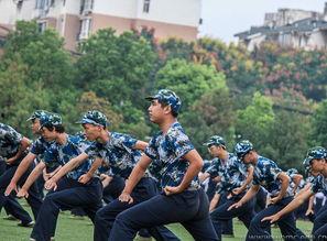 日本军训国产配音视频播放,国产配音再现日本军训震撼瞬间  第1张