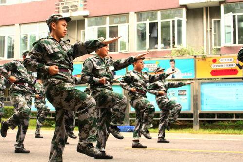 日本军训国产配音视频播放,国产配音再现日本军训震撼瞬间  第2张