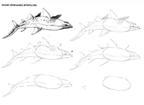 国产海洋板绘画教程视频,跟随国产海洋板绘画教程，绘制属于自己的海洋世界  第3张