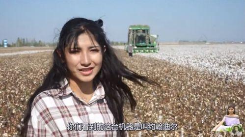 国产采棉花机操作视频,高效便捷的棉花收获新体验  第2张
