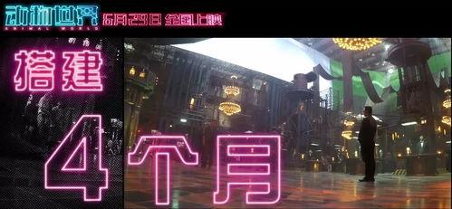 又爽又刺激的国产片视频  第3张