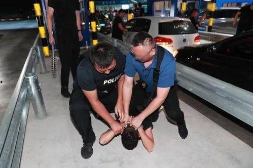 抓捕毒枭国产片段视频  第2张