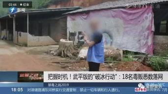 抓捕毒枭国产片段视频  第3张